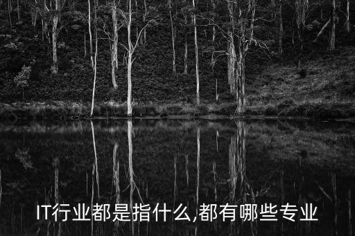 it產業,備受企業青睞的it行業是指什么?