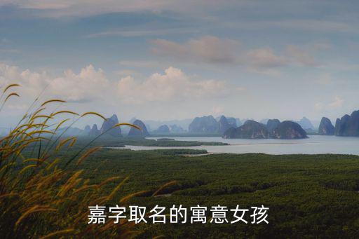 嘉字取名女孩,嘉字取名一兒一女有何寓意?
