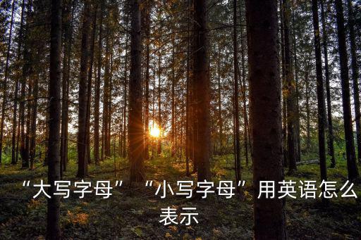 “大寫字母”“小寫字母”用英語怎么表示