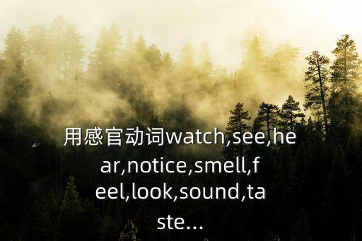 用感官動詞watch,see,hear,notice,smell,feel,look,sound,taste...