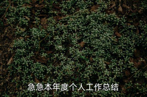 年度個(gè)人工作總結(jié)，年度個(gè)人總結(jié)