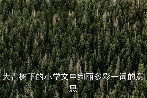 大青樹(shù)下的小學(xué)文中絢麗多彩一詞的意思