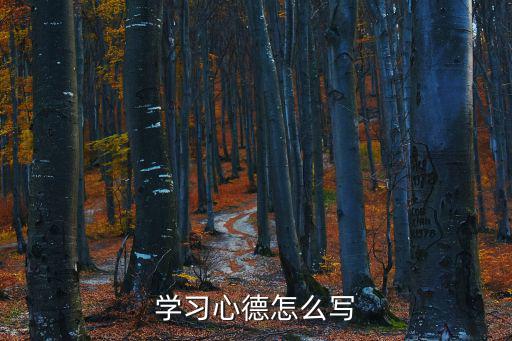 學習心德怎么寫