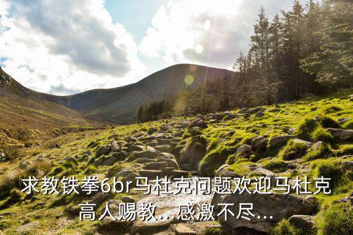 馬杜克,請教6br馬杜克問題感激不盡...