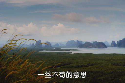 一絲不茍的意思,一絲不茍的意思是什么?