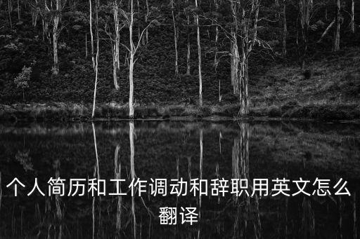 個人簡歷和工作調(diào)動和辭職用英文怎么翻譯