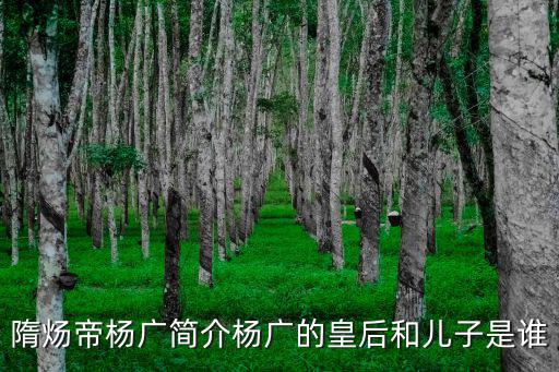 隋煬帝楊廣簡介楊廣的皇后和兒子是誰