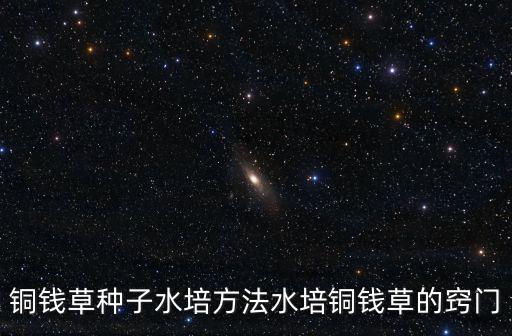 銅錢草種子怎么種,銅錢草種子水培方法:先準(zhǔn)備好合適容器