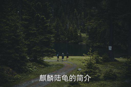 麒麟陸龜的簡介