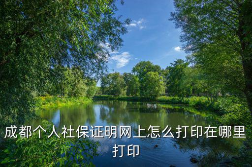 成都人社局官網,成都個人社保證明網上怎么打印?