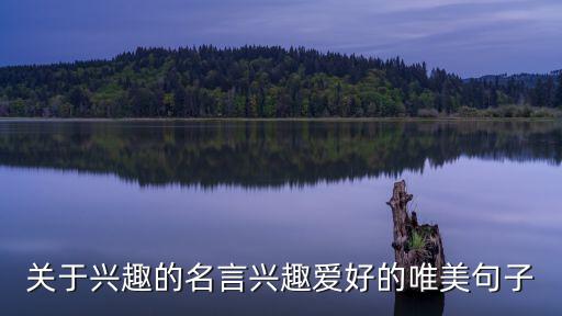 關于興趣的名言,關于興趣的名言名句大全