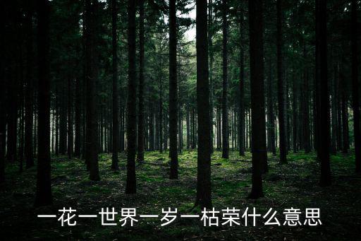 一花一世界,一花一世界意思及涵義