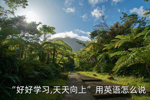“好好學習,天天向上”用英語怎么說