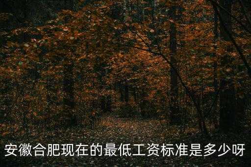 安徽合肥現在的最低工資標準是多少呀