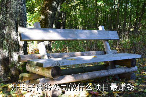 電子商務(wù)怎么賺錢,開電子商務(wù)公司賺錢有三種模式