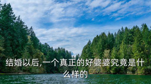 好婆婆,好婆婆的評價