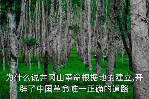 井岡山道路,為什么說井岡山道路是中國(guó)革命的道路?