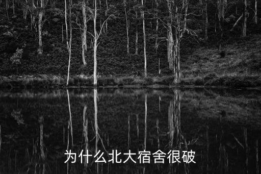 北大宿舍,沒翻新北大宿舍多少平?