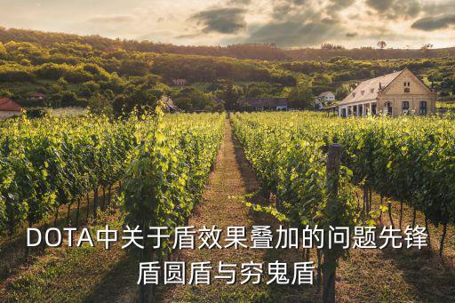DOTA中關于盾效果疊加的問題先鋒盾圓盾與窮鬼盾