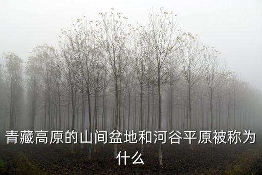 青藏高原的山間盆地和河谷平原被稱為什么