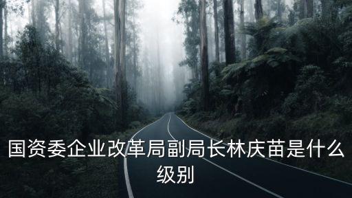 國資委企業改革局副局長林慶苗是什么級別