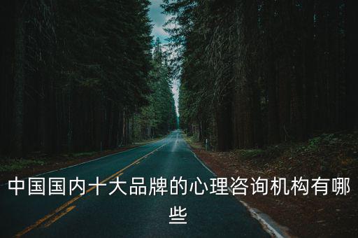 中國國內十大品牌的心理咨詢機構有哪些