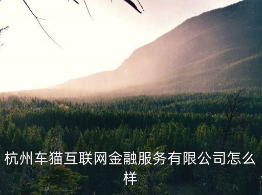 杭州車貓互聯網金融服務有限公司怎么樣