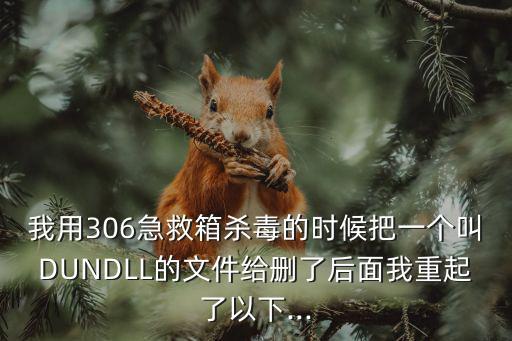 我用306急救箱殺毒的時候把一個叫DUNDLL的文件給刪了后面我重起了以下...