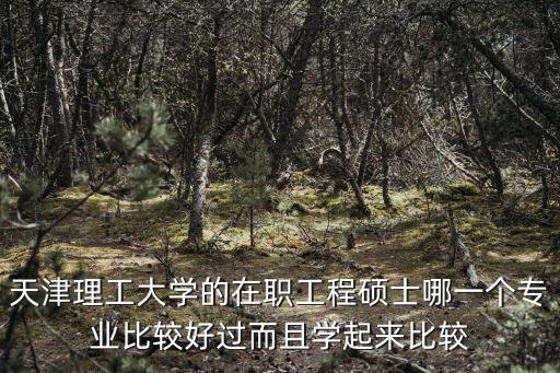 天津理工大學(xué)的在職工程碩士哪一個(gè)專業(yè)比較好過而且學(xué)起來比較