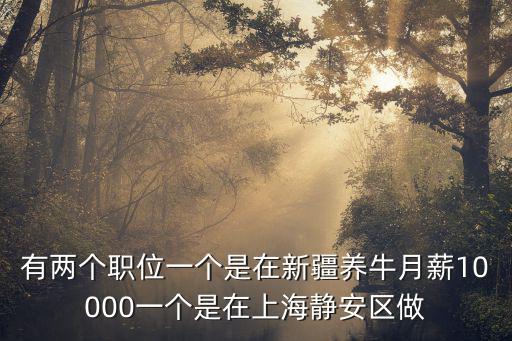 上海靜安區2022事業單位招聘，有兩個職位一個是在新疆養牛月薪10000一個是在上海靜安區做