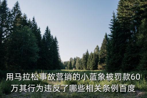 用馬拉松事故營銷的小藍(lán)象被罰款60萬其行為違反了哪些相關(guān)條例百度