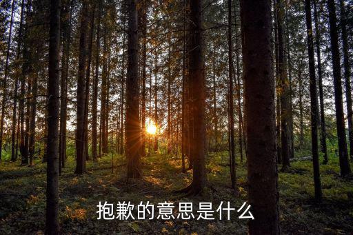 抱歉的意思是什么