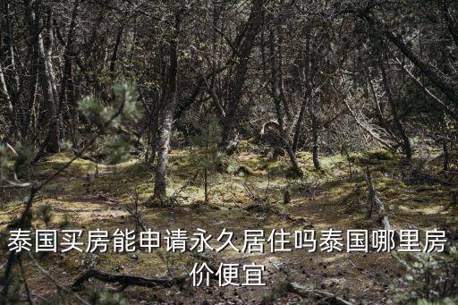 泰國買房能申請永久居住嗎泰國哪里房價便宜
