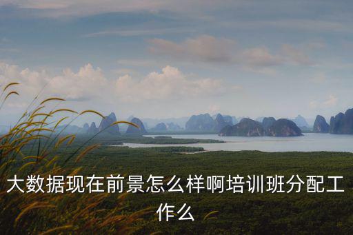 大數(shù)據(jù)現(xiàn)在前景怎么樣啊培訓(xùn)班分配工作么