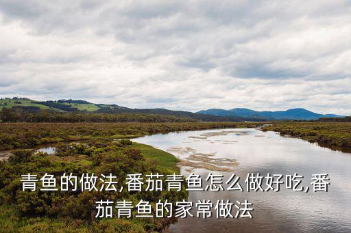 青魚的做法,番茄青魚怎么做好吃,番茄青魚的家常做法