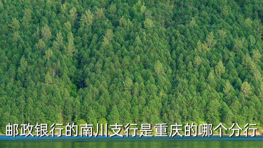 重慶市南川區郵政儲蓄銀行，中國郵政儲蓄銀行有限責任公司重慶南岸區支行現在在哪個具體位置