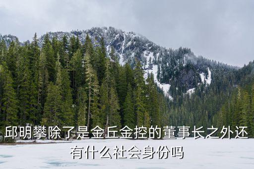 邱明攀除了是金丘金控的董事長之外還有什么社會身份嗎