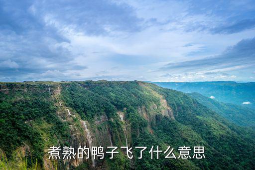 煮熟的鴨子飛了什么意思
