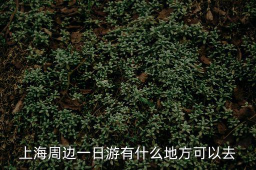 上海周邊一日游有什么地方可以去