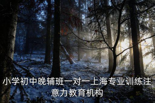 小學(xué)初中晚輔班一對一上海專業(yè)訓(xùn)練注意力教育機構(gòu)