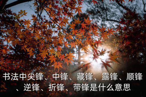 鋒的意思,武漢中醫院醫生如何看待病毒