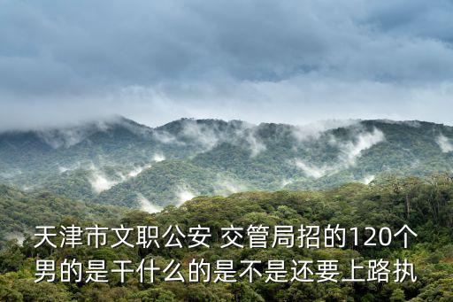 天津市公務用車管干嘛的，天津市交管局津東車管所做什么的是考交則的地方么