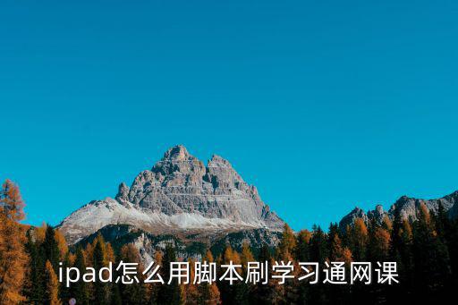 ipad怎么用腳本刷學(xué)習(xí)通網(wǎng)課