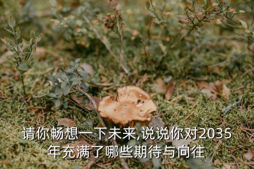 暢想2035,2035年的中國是什么樣的?