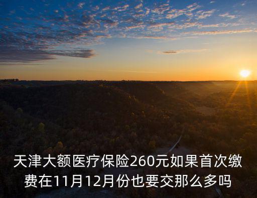 天津大額醫(yī)療保險(xiǎn)260元如果首次繳費(fèi)在11月12月份也要交那么多嗎
