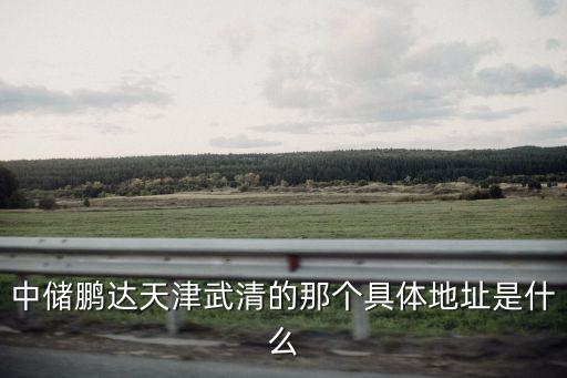 中儲(chǔ)鵬達(dá)天津武清的那個(gè)具體地址是什么
