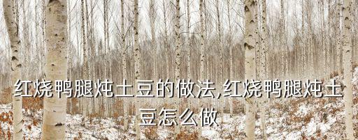 紅燒鴨腿燉土豆的做法,紅燒鴨腿燉土豆怎么做