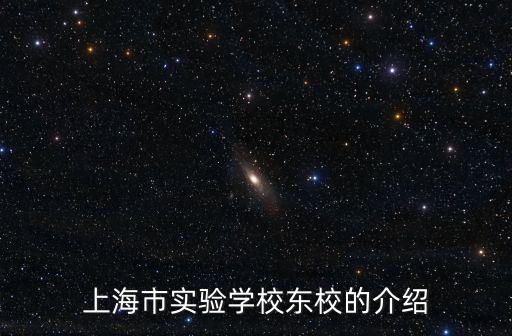 上海市實驗學校東校的介紹