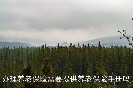 辦理養老保險需要提供養老保險手冊嗎