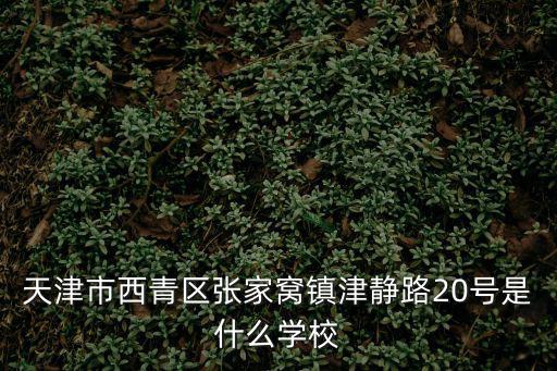 天津市西青區張家窩鎮津靜路20號是什么學校